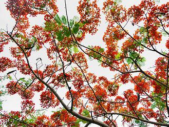 天命奇御系列新作《天命奇御：归途》释出Roguelite特色玩法